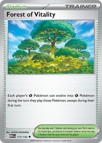 117/132 Forest of Vitality - Mega Evolution