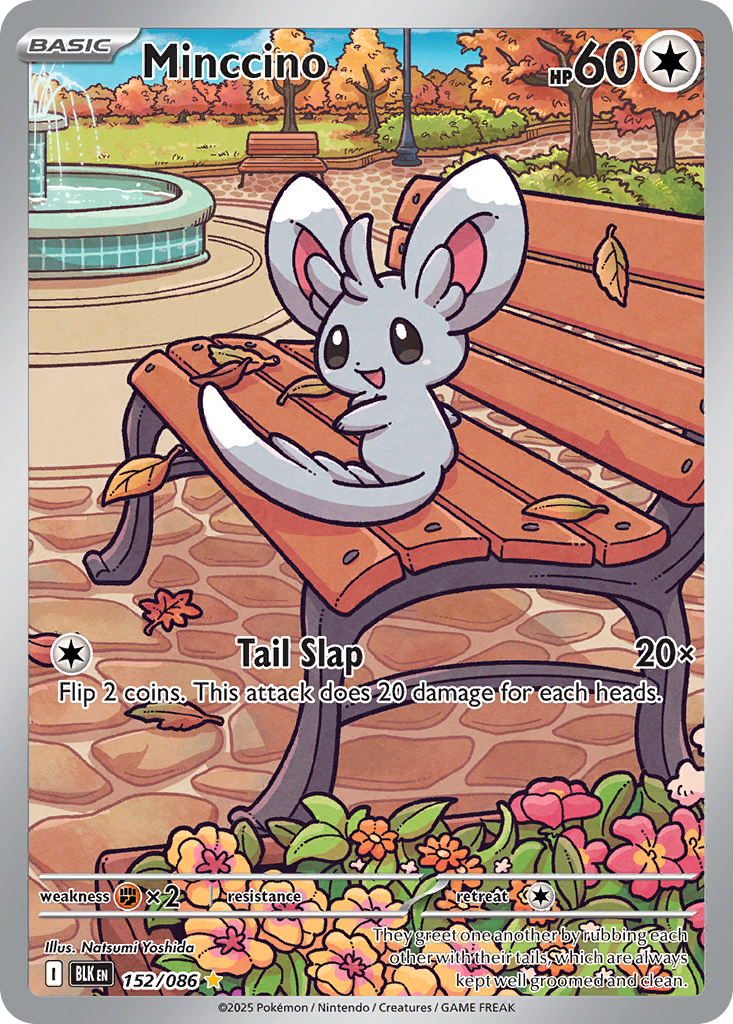 Minccino 152/086 Black Bolt card