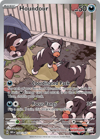 204/197 Houndour - Obsidian Flames