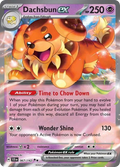 Dachsbun ex 067/142 Stellar Crown card