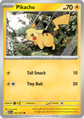 Pikachu 055/217 Ascended Heroes card