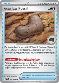 068/088 Antique Jaw Fossil - Perfect Order