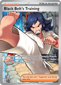 255/217 Black Belt's Training - Ascended Heroes