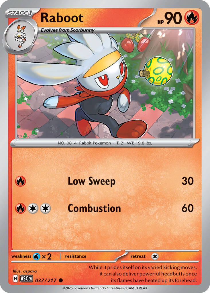 Raboot 037/217 Ascended Heroes card